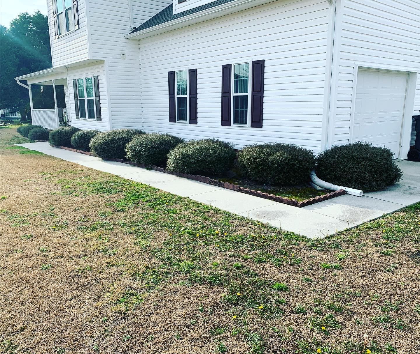 A white house with a sidewalk and bushes in front of it.