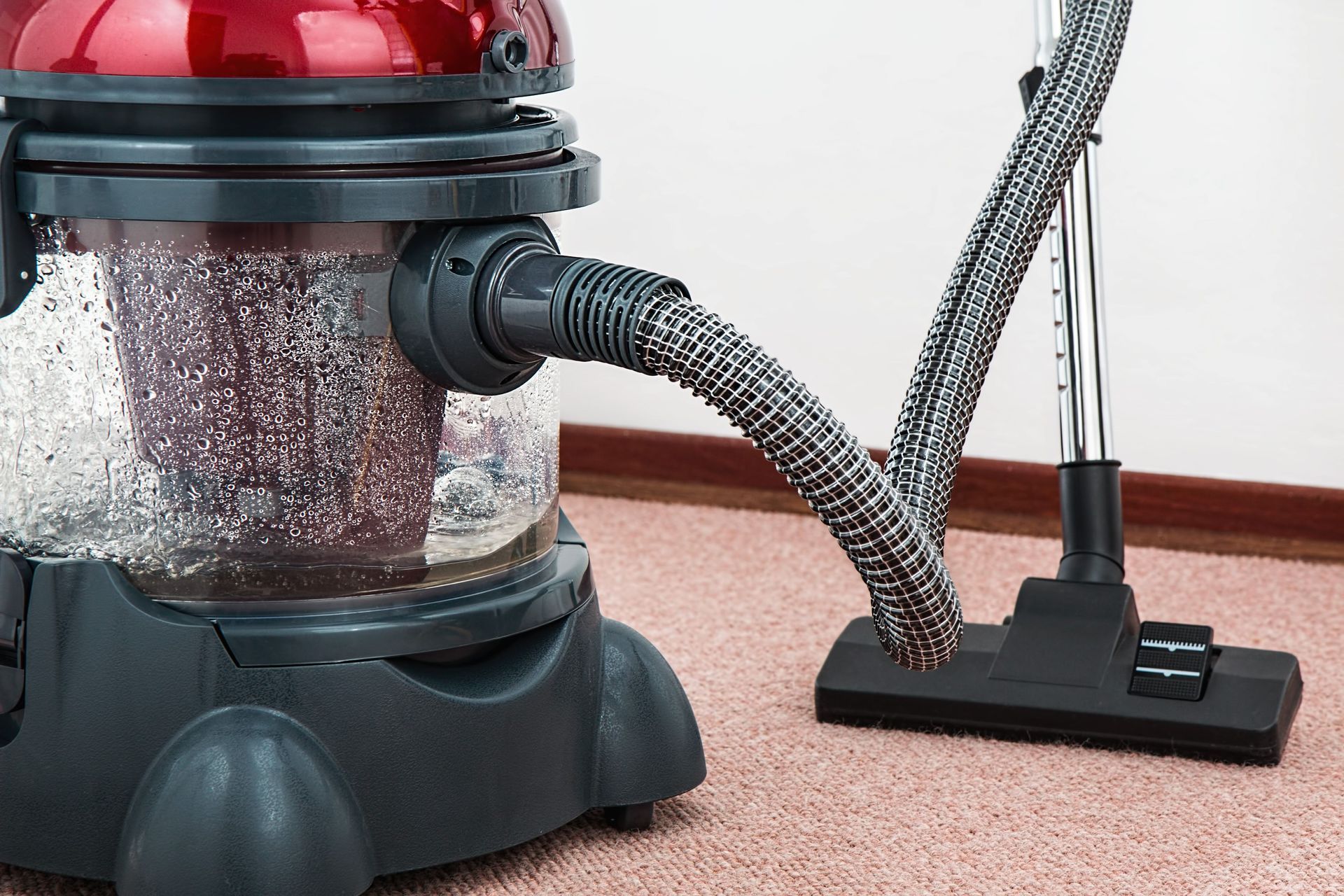 Vacuum cleaner with clear canister and hose on carpeted floor
