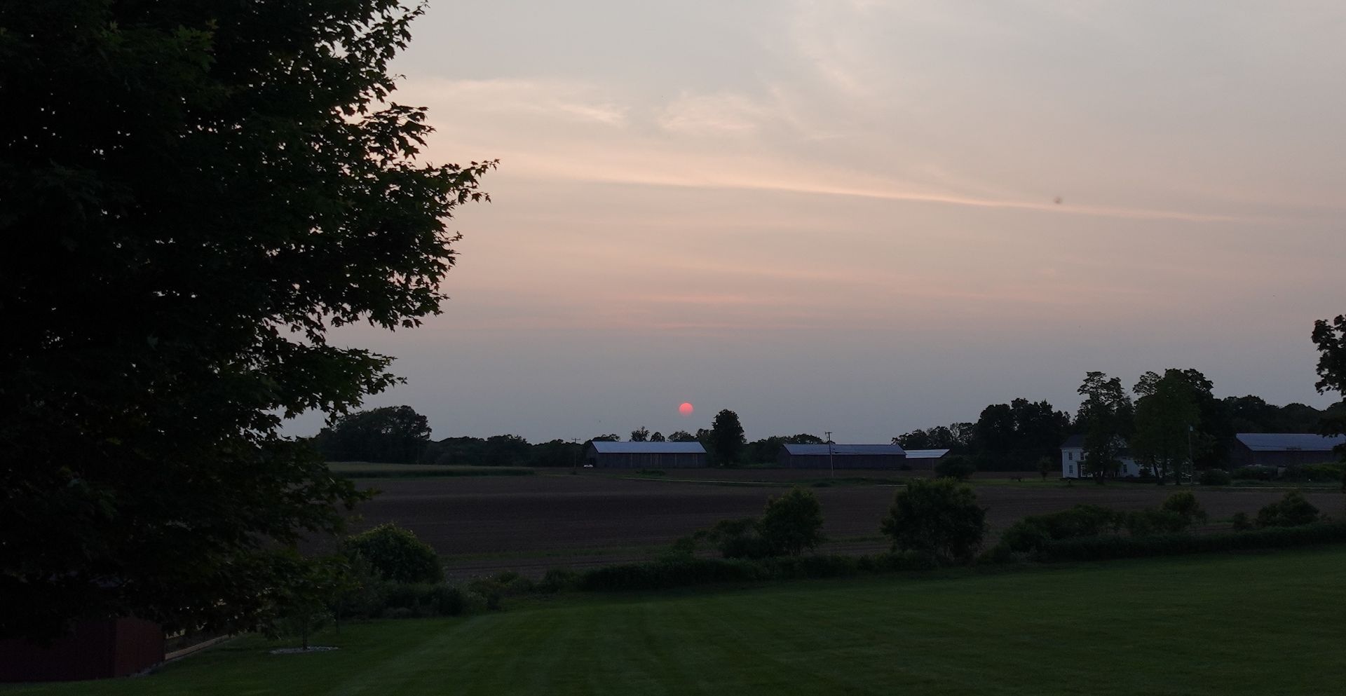 A sunset over a field with a tree in the foreground