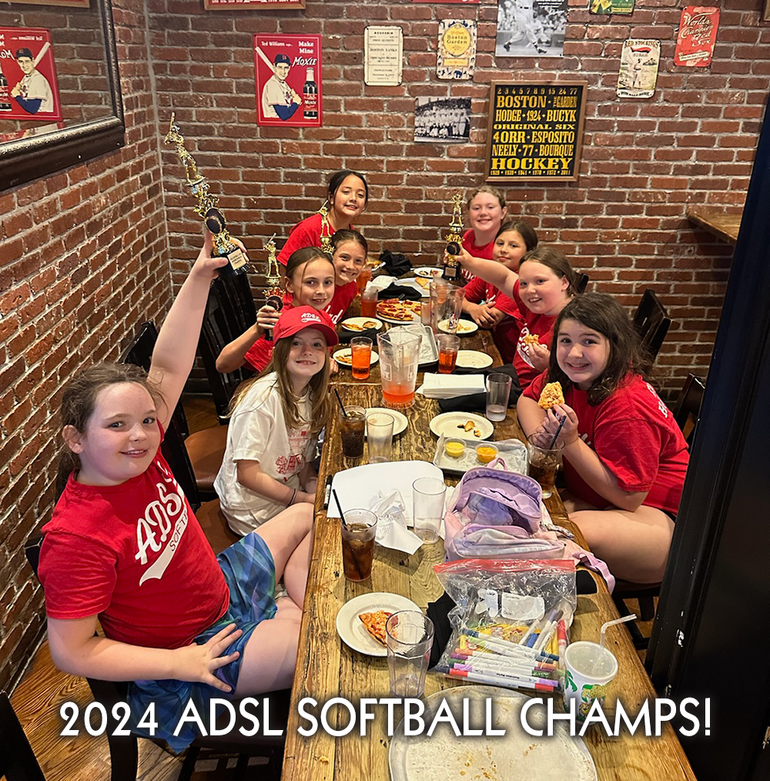 Softball party at Landmark Public House