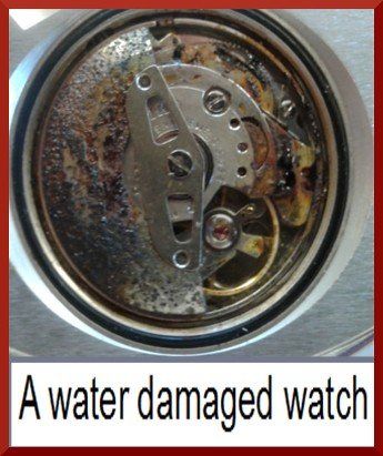 water damaged watch
