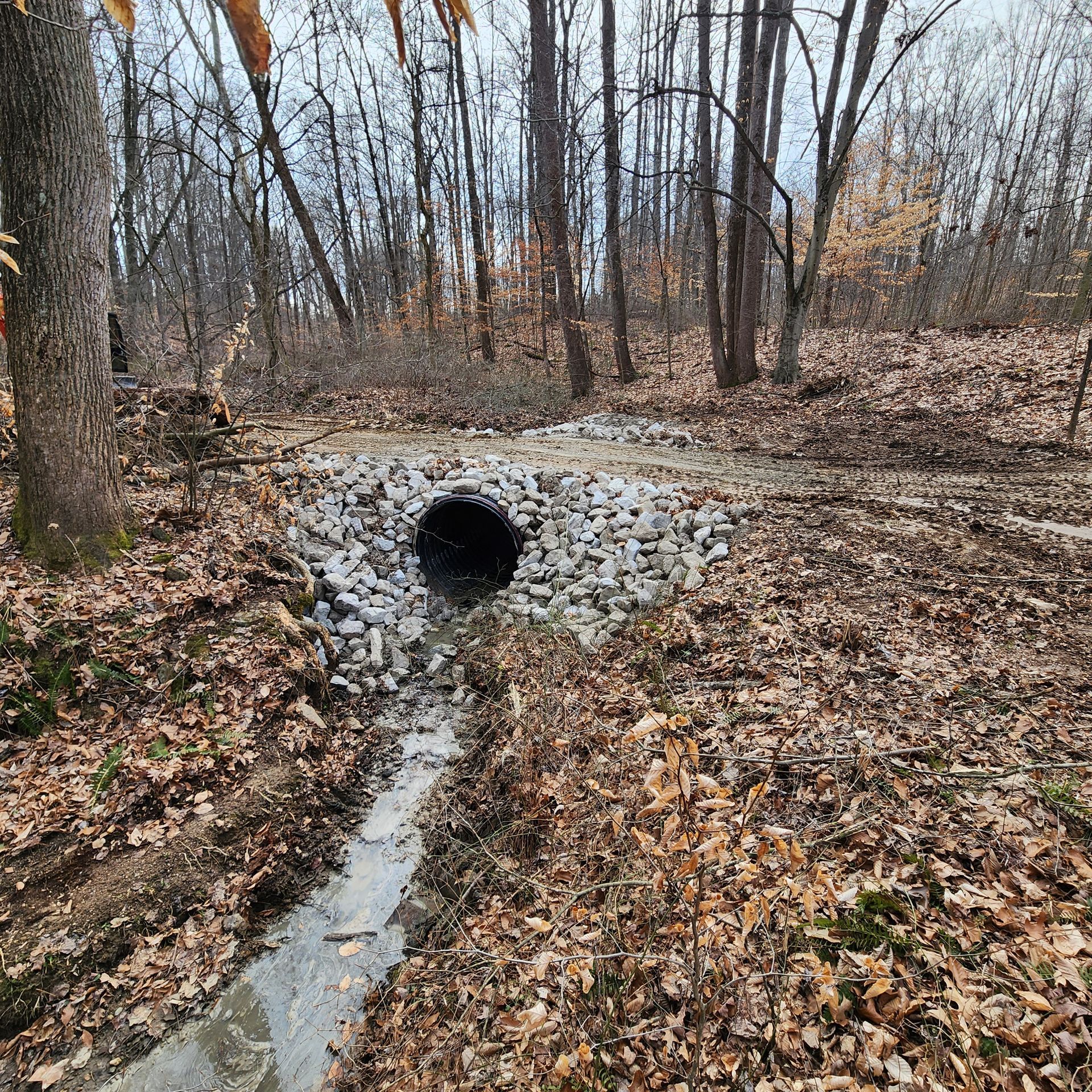 Woodland Trail Creek Crossing Culvert