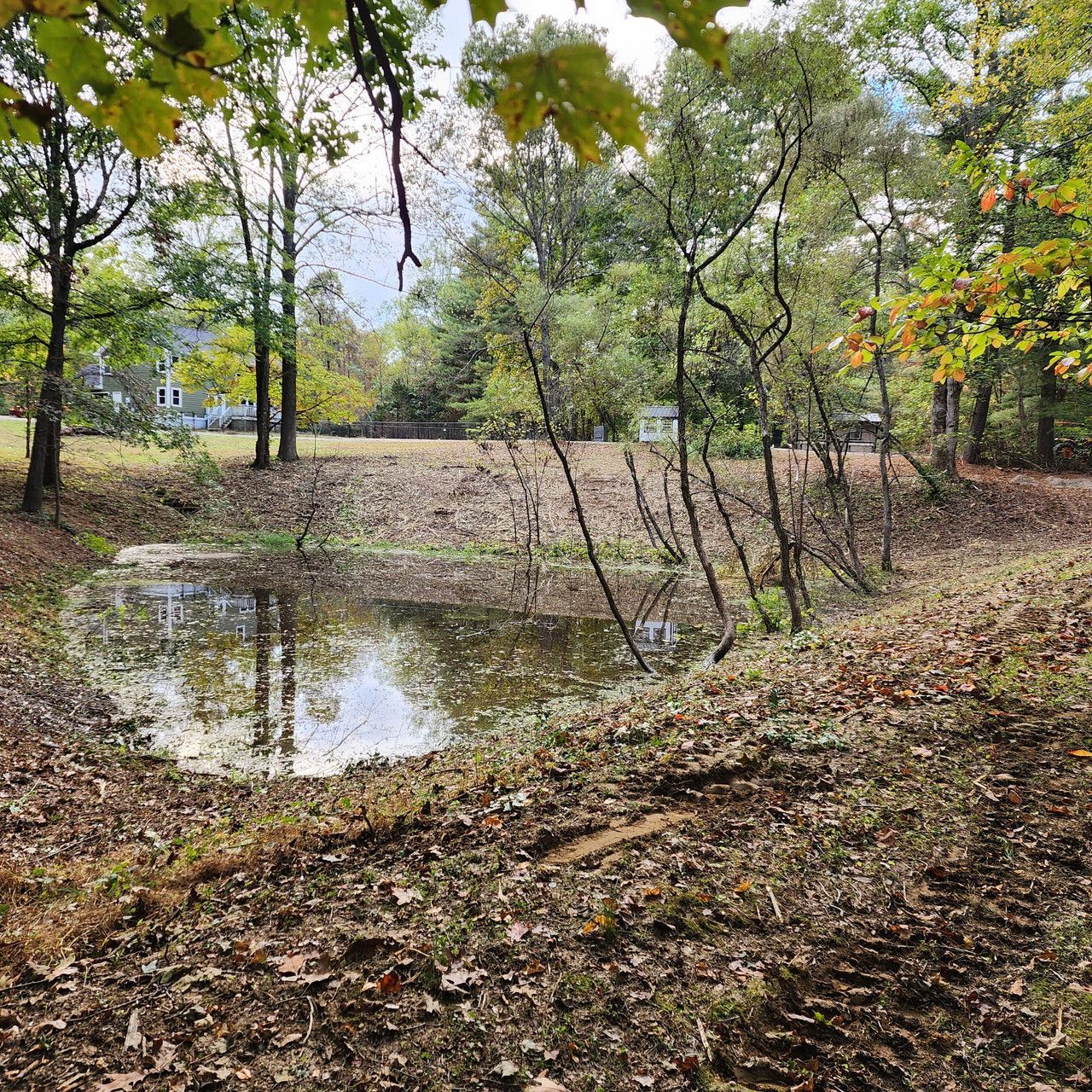 A small, calm pond surrounded by autumn trees and leaf-covered ground in a wooded area.