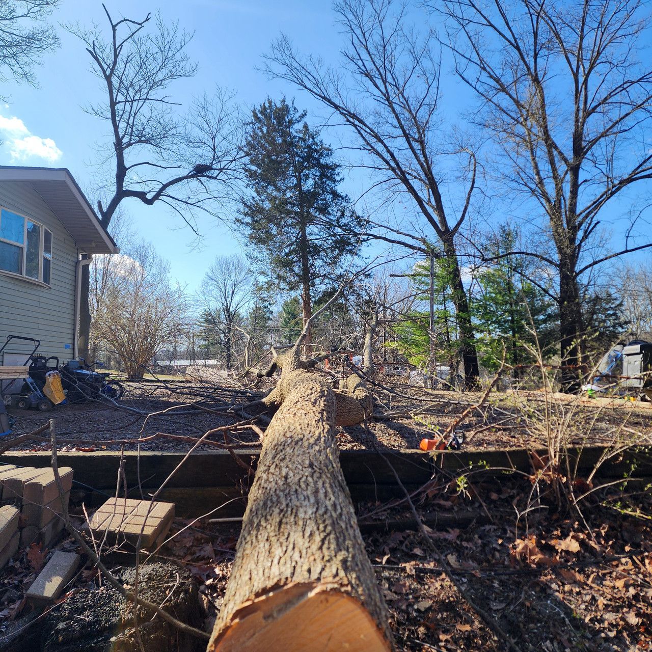 A large tree trunk lies on the ground in a residential yard next to a house under a clear blue sky.