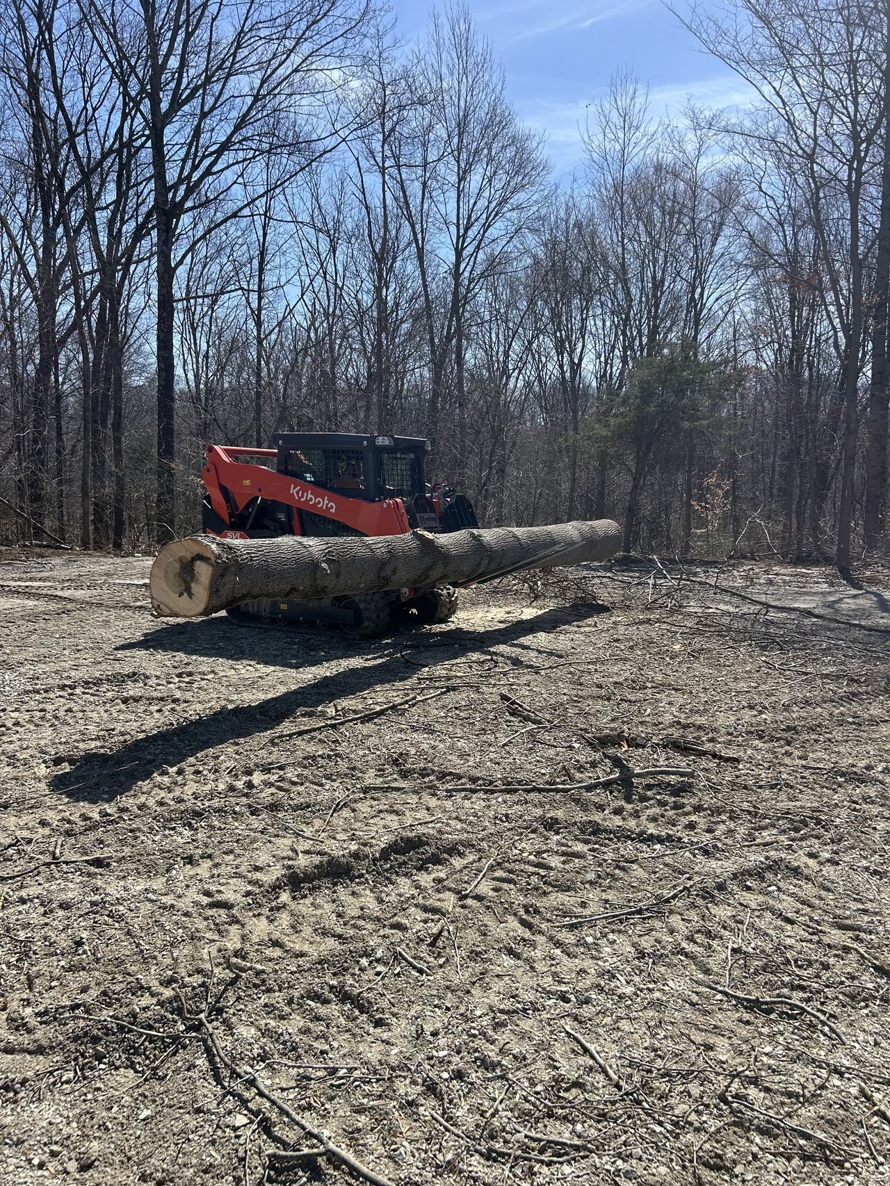 An orange skid steer carries a large, horizontal log across a cleared, sunny, wooded construction site.