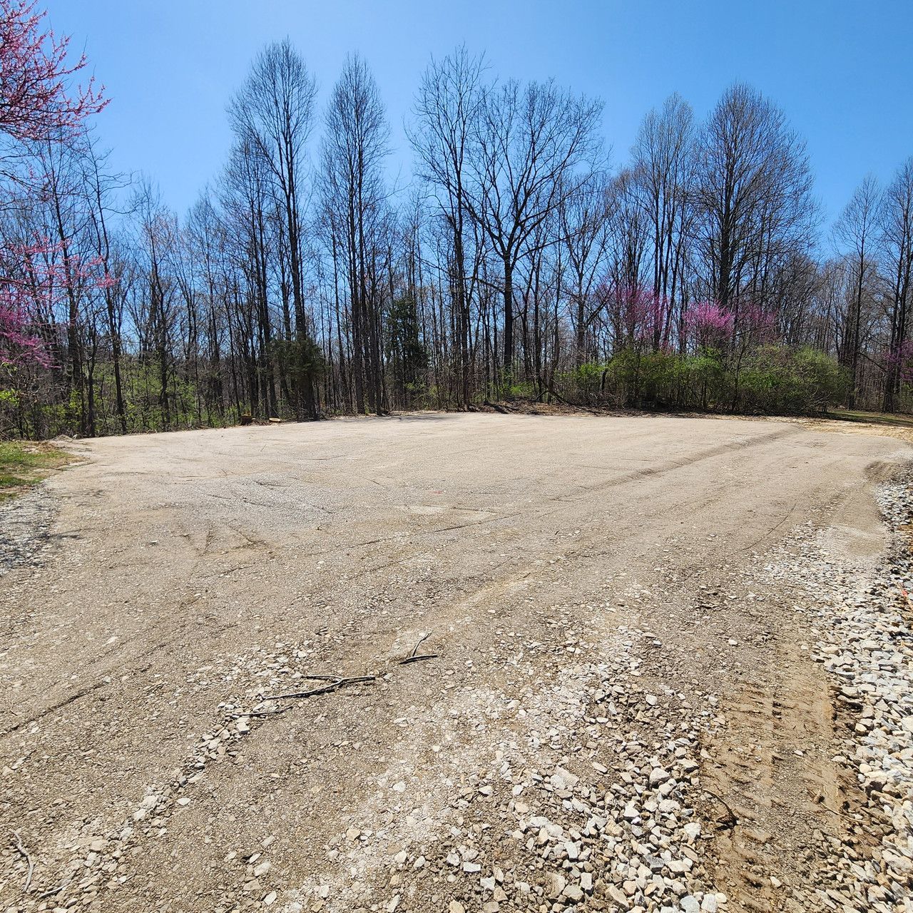 A gravel clearing or parking area set against a backdrop of bare trees under a clear blue sky.