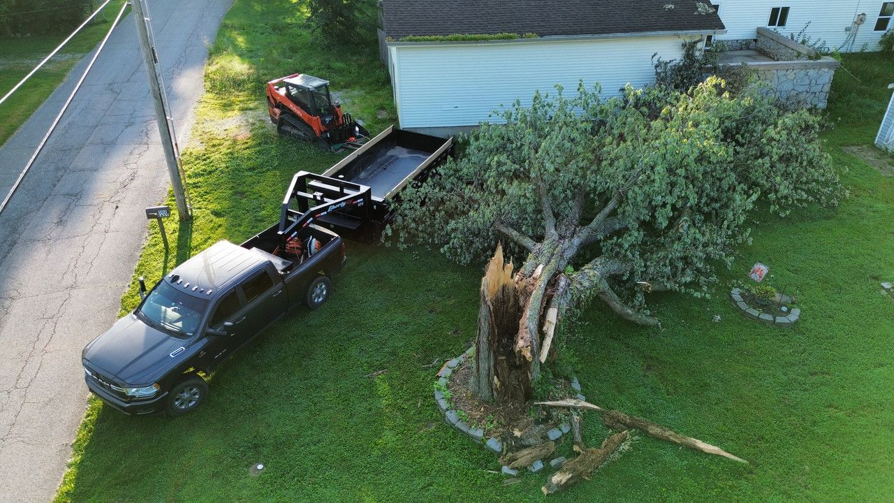 An aerial view of a pickup truck with a trailer parked on a lawn next to a large tree that has split and fallen.