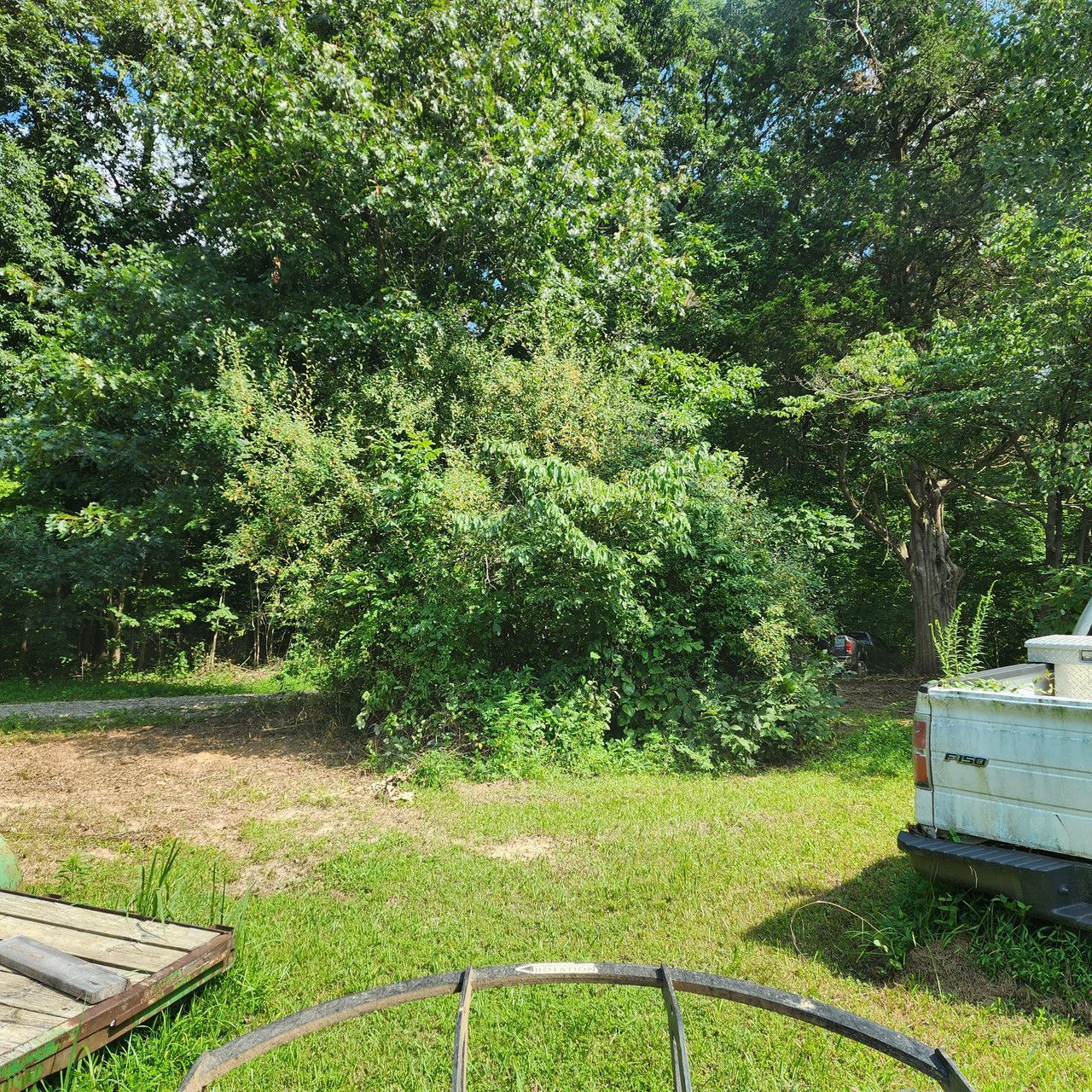 A grassy yard with a wooden trailer edge, a white utility truck bed, and dense green trees in the background.