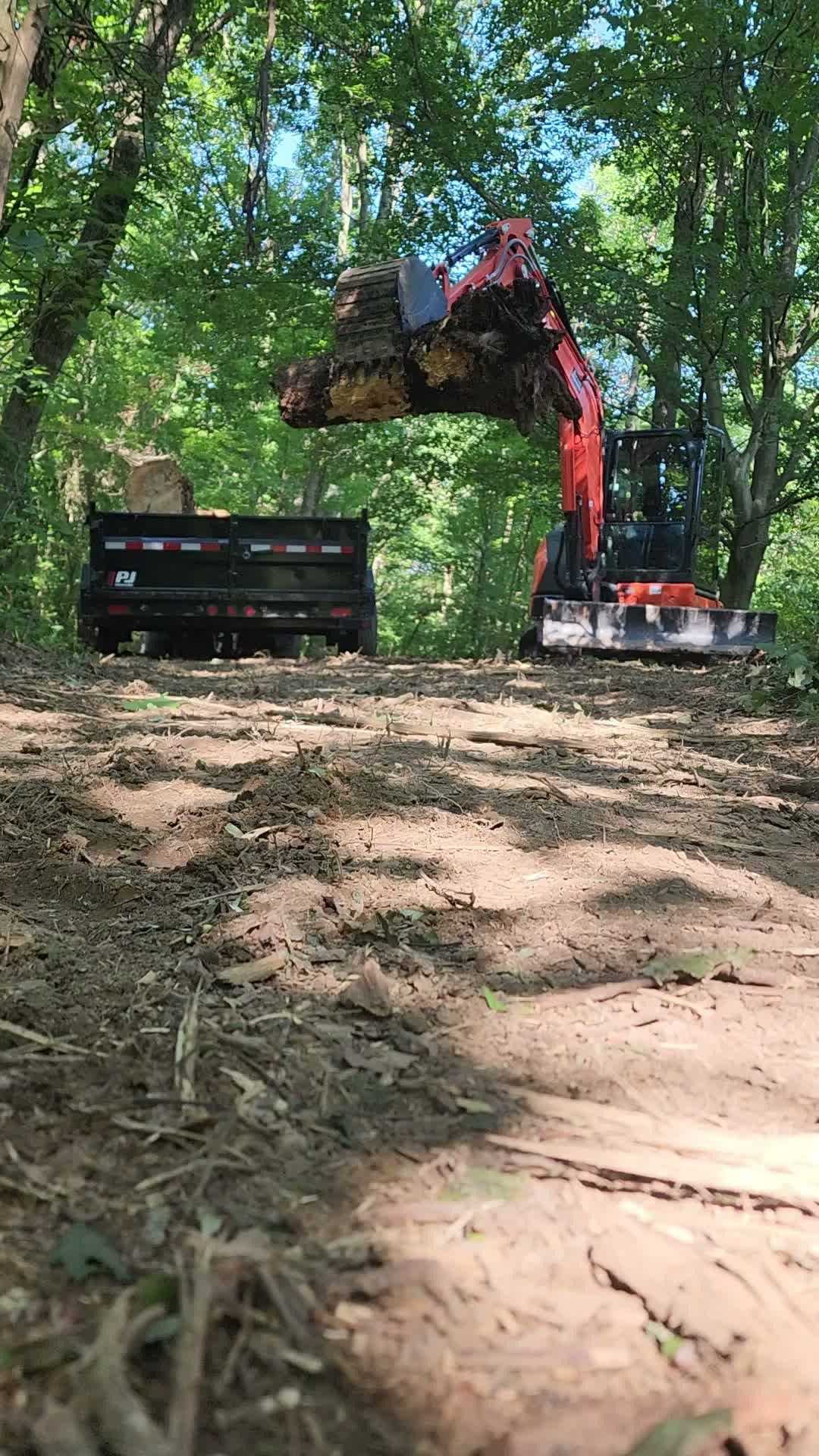 An orange excavator lifting a tree stump into the bed of a black trailer on a dirt path in a wooded area.