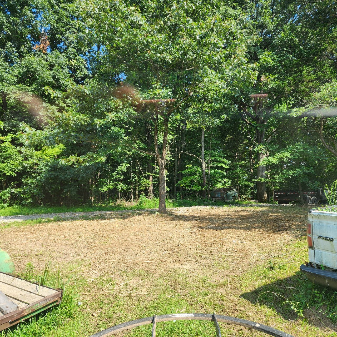 A grassy yard with scattered wood chips, bordered by a dense forest under a bright blue sky, with vehicle parts visible.