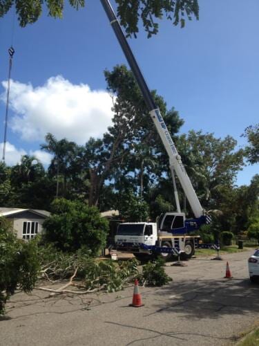 Crane cutting tree — Build Up Crane Hire in Casuarina, NT