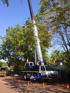 Crane lifting tree — Build Up Crane Hire in Casuarina, NT