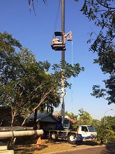 Crane removing tree — Build Up Crane Hire in Casuarina, NT