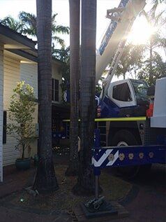 Three palm trees and crane — Build Up Crane Hire in Casuarina, NT