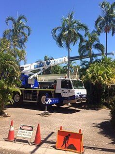 Palm tree being removed — Build Up Crane Hire in Casuarina, NT