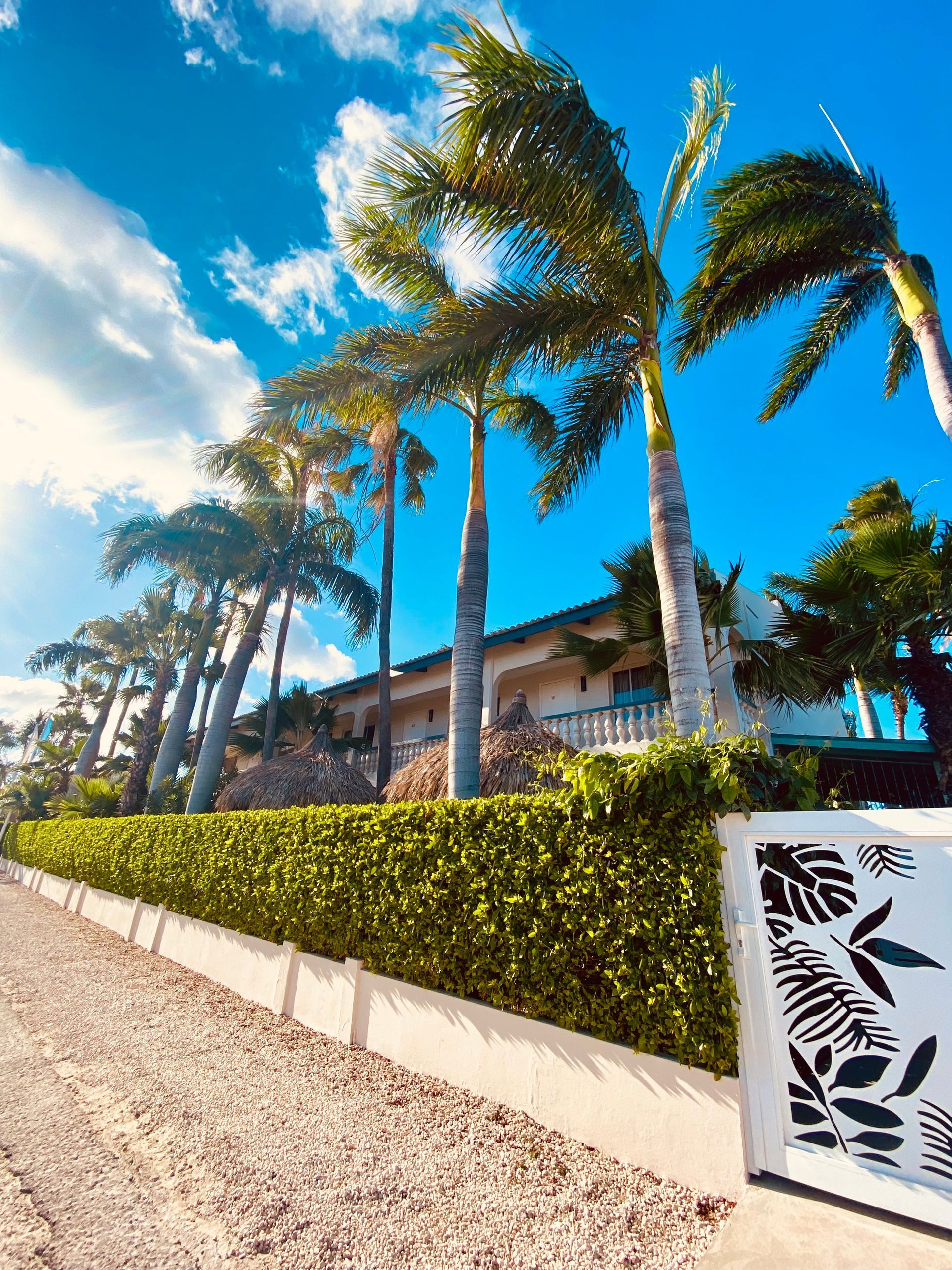 Palm trees frame a house with a green hedge and white decorative gate, under a blue sky.