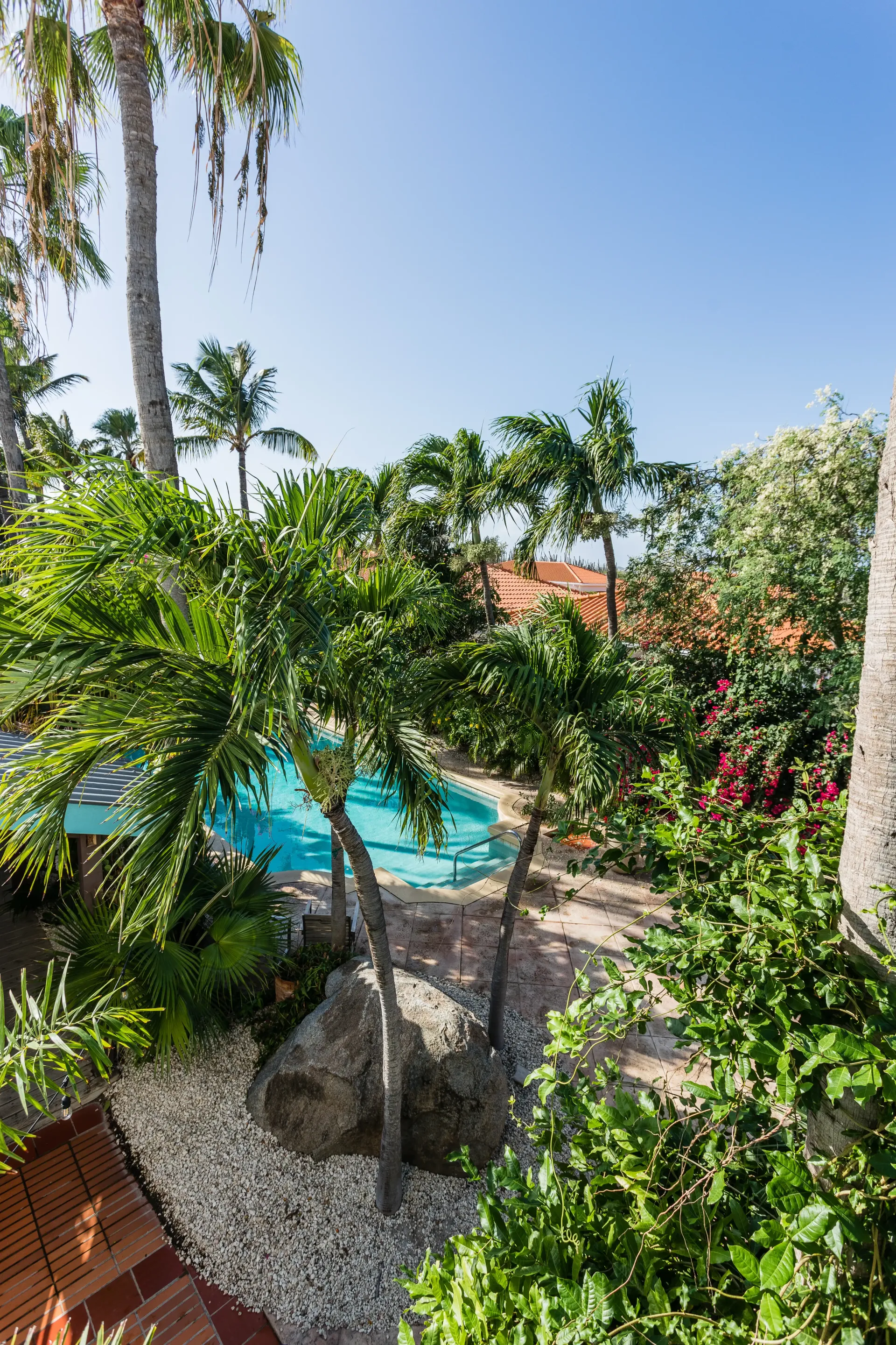 Pool surrounded by tropical plants and palm trees under a bright blue sky.