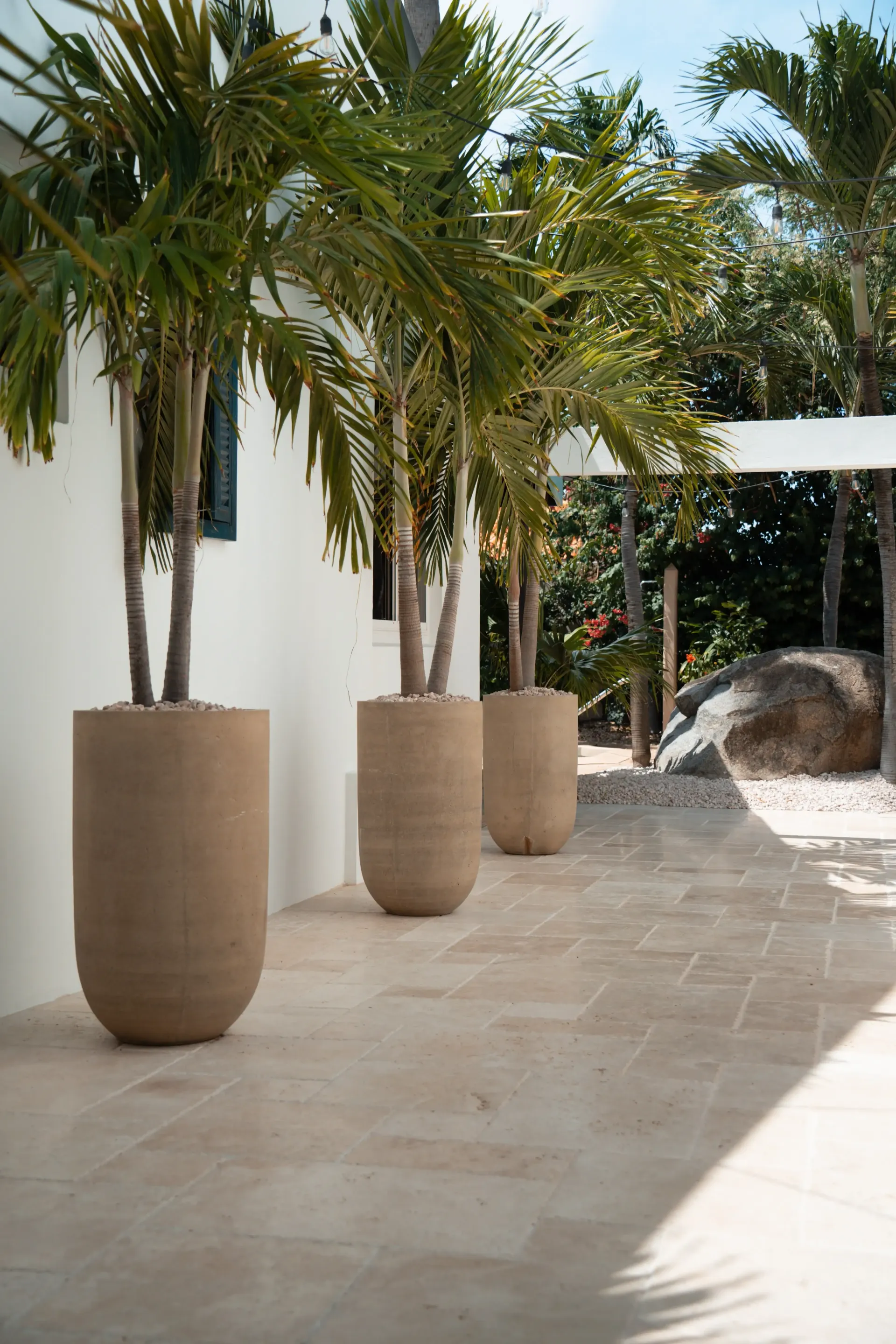 Palm trees in large beige planters line a light stone pathway next to a white building.