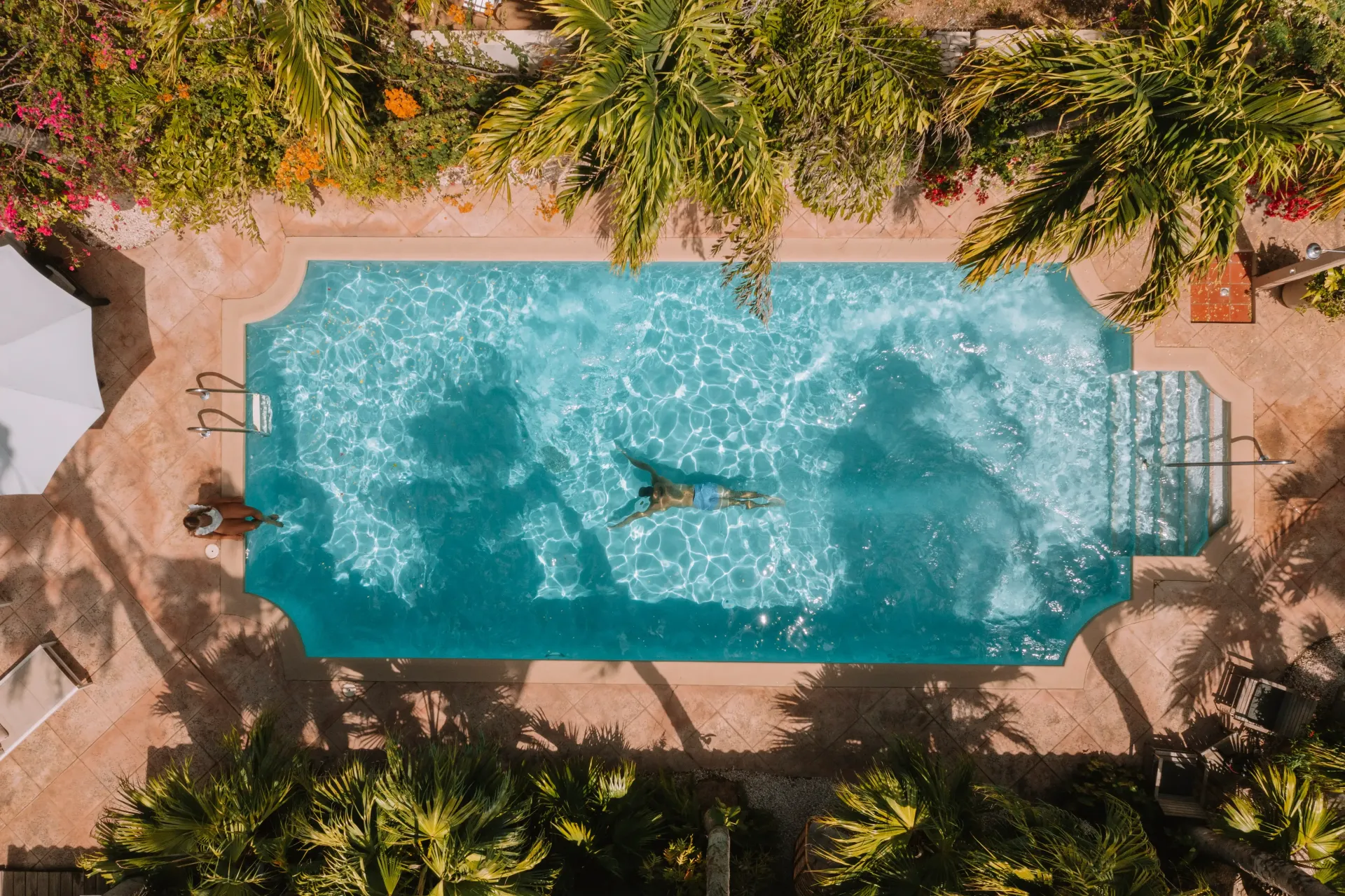 Overhead view of a person swimming in a turquoise pool, surrounded by palm trees and beige patio.