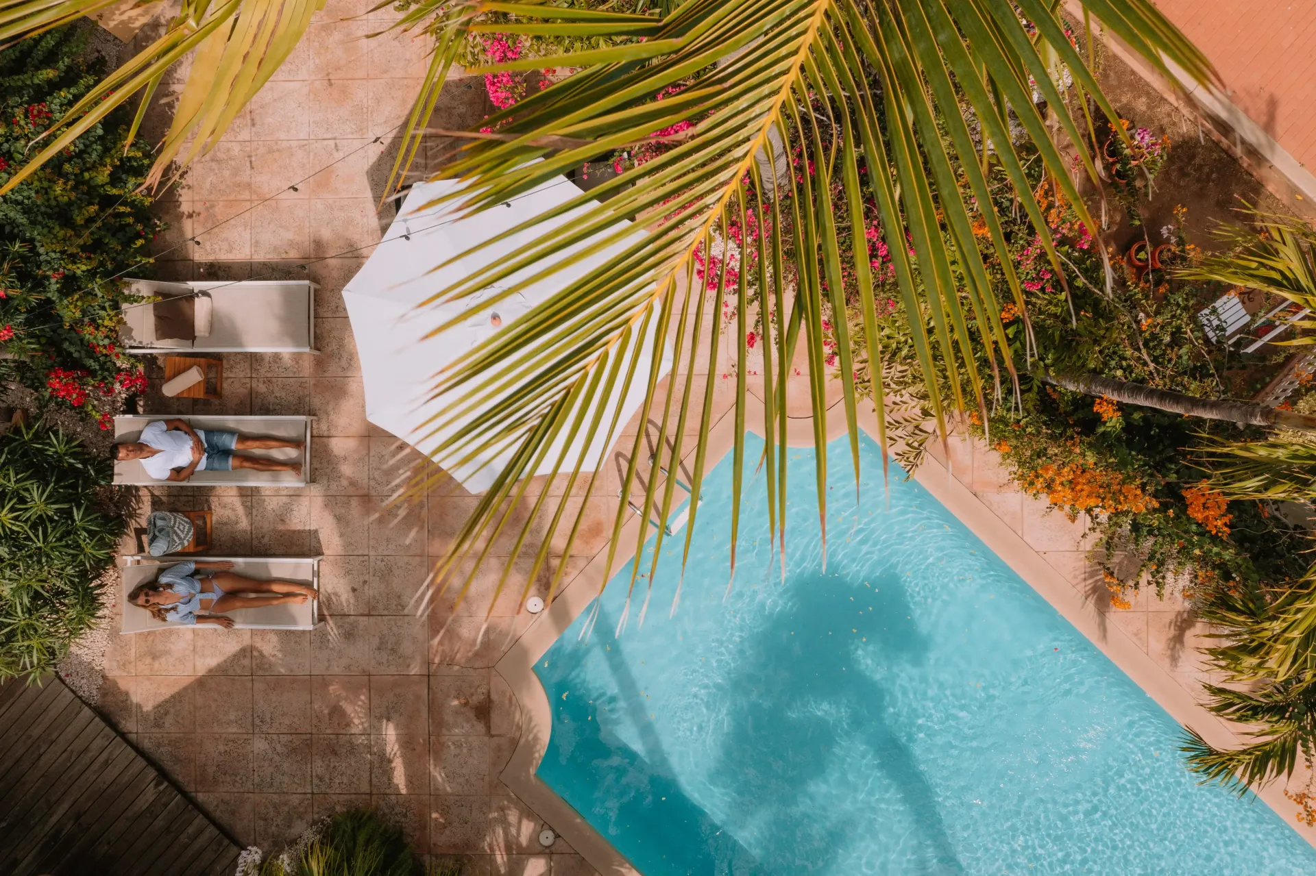 People relaxing by a pool under palm tree shade.