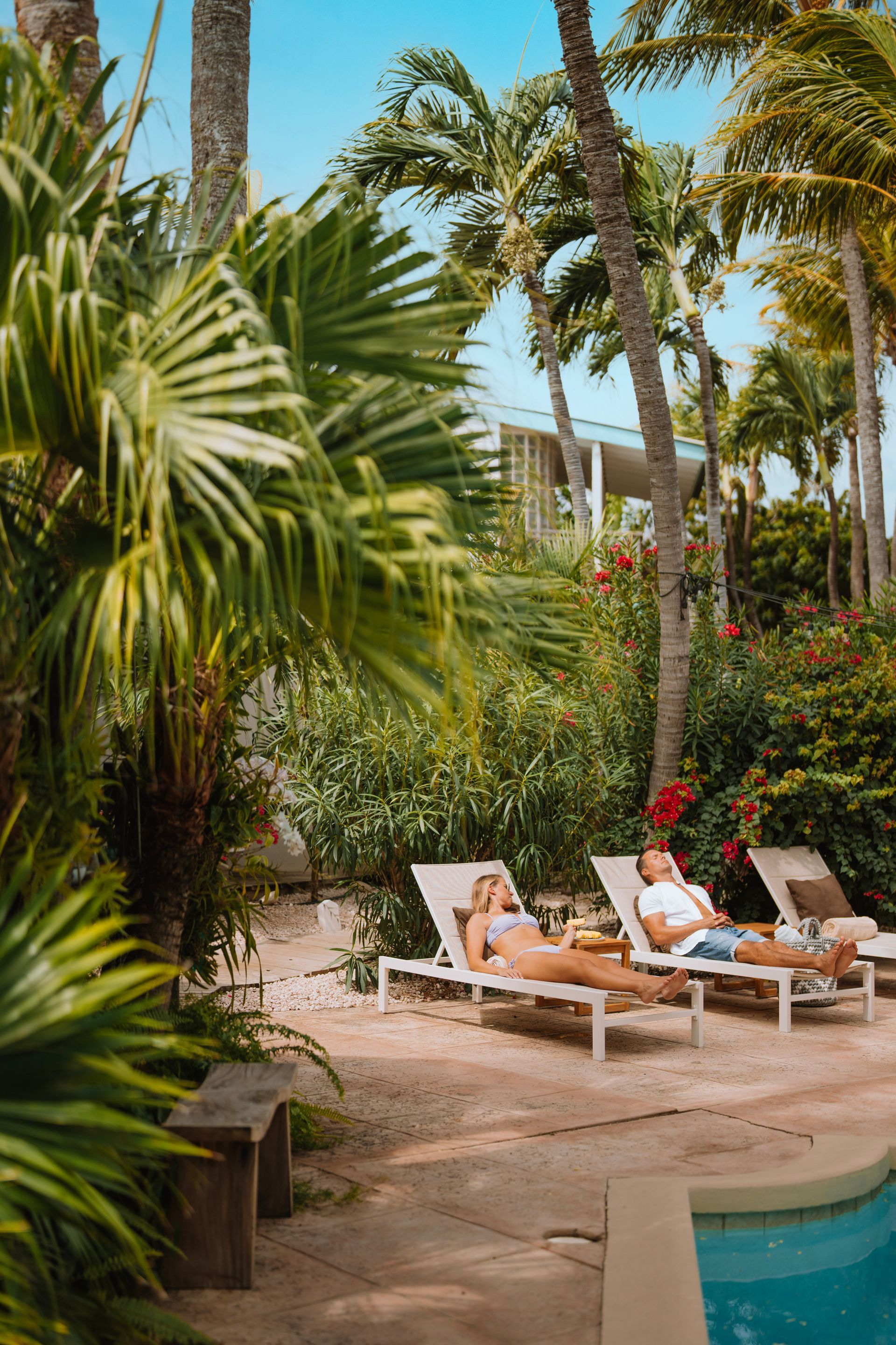 Two people relaxing on lounge chairs by a pool, surrounded by palm trees and lush greenery.