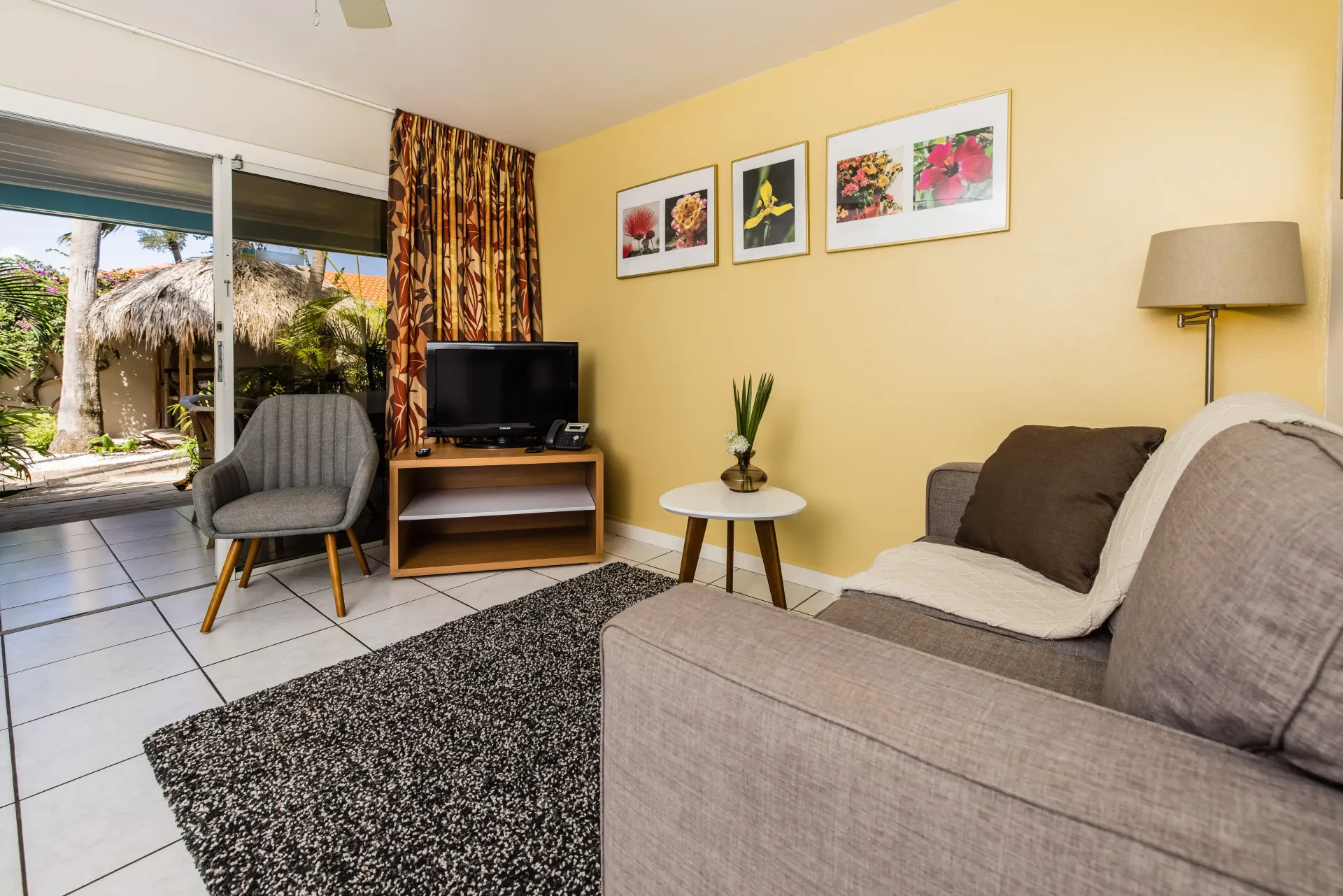 Living room with gray sofa, TV, and sliding door to a yard with foliage.
