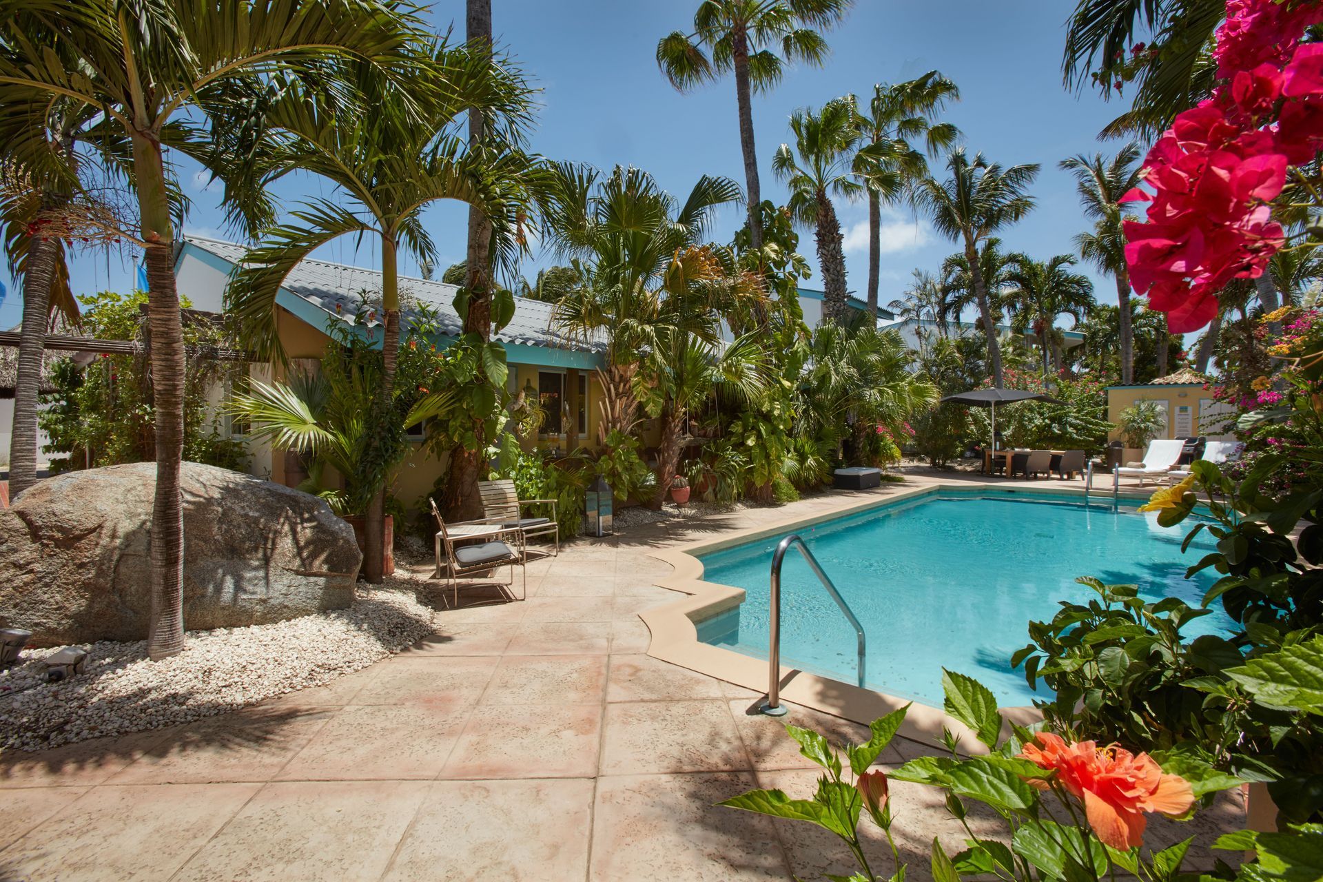 Pool and patio surrounded by palm trees and tropical plants under a sunny sky.