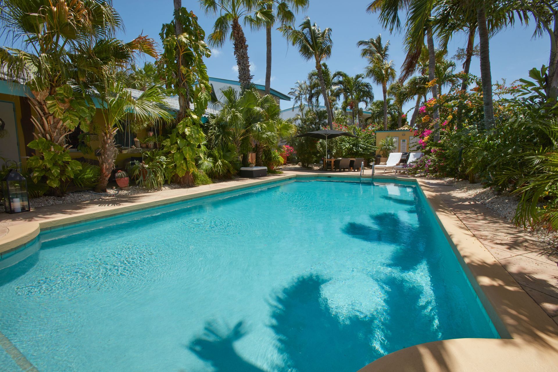 A rectangular pool surrounded by lush greenery and palm trees on a sunny day.