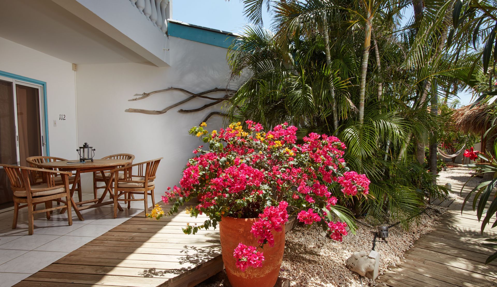 Patio with wooden furniture, vibrant pink flowers in a terracotta pot, tropical greenery, and a white building.