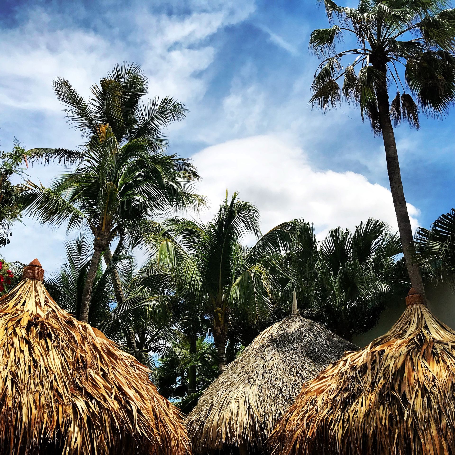 Palm trees behind thatched roofs under a partly cloudy sky.