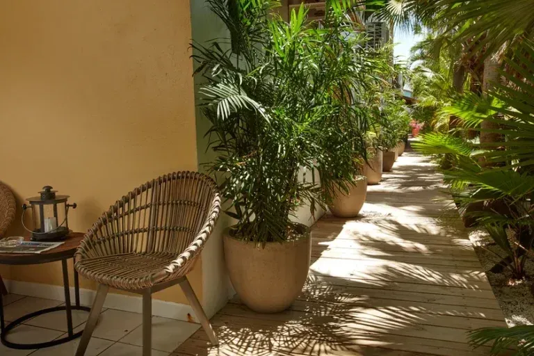Wicker chair on a patio next to a potted palm. A wooden walkway lined with plants leads away.