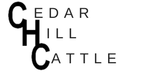 Logo featuring the large, bold letters 