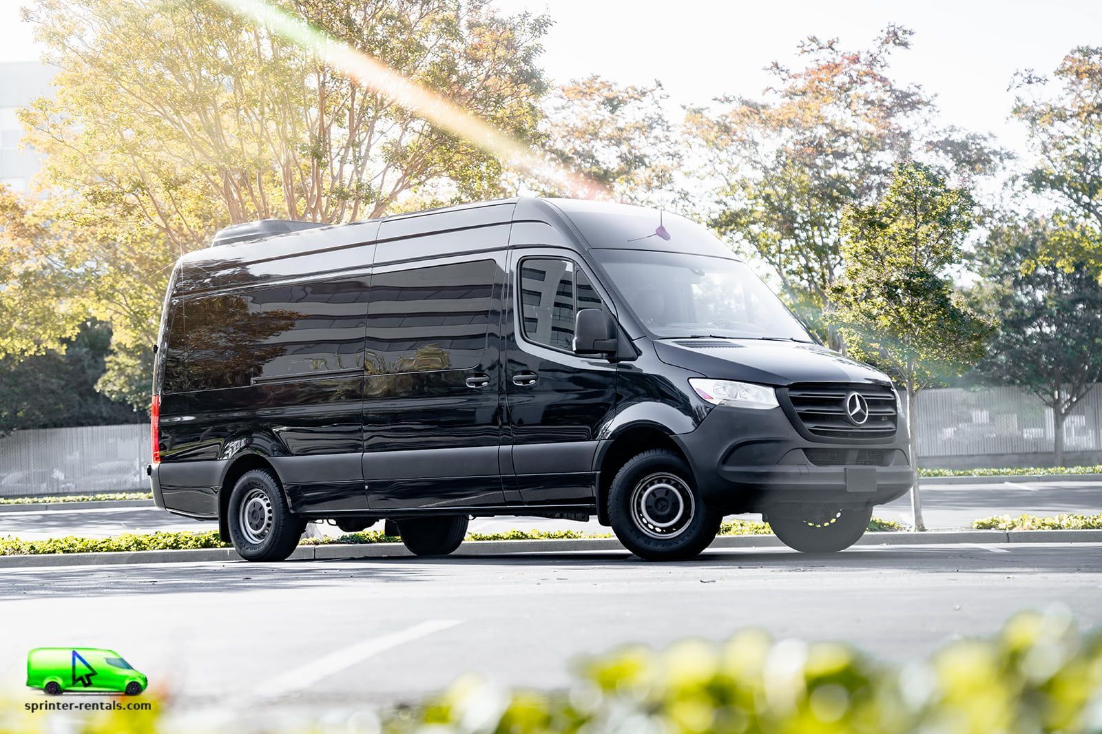 Black Mercedes-Benz Sprinter van parked on a street with trees in the background, a light shining from above.
