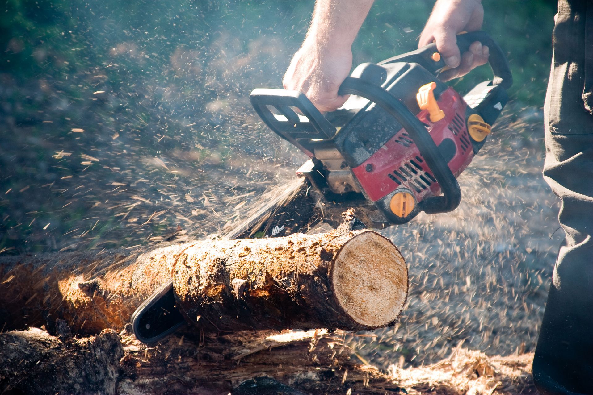 A person is cutting a log with a chainsaw.