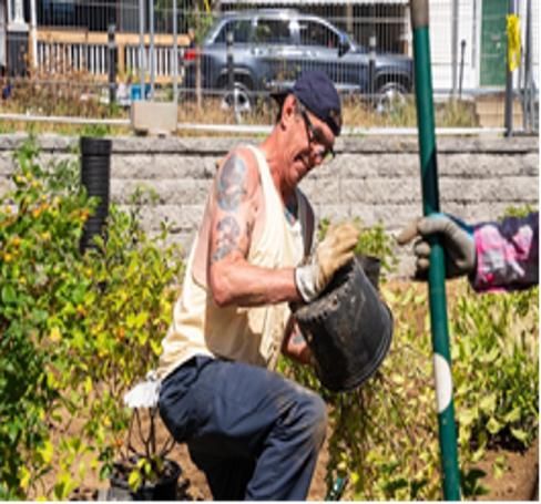 A man is kneeling down in a garden holding a black bucket.Icon