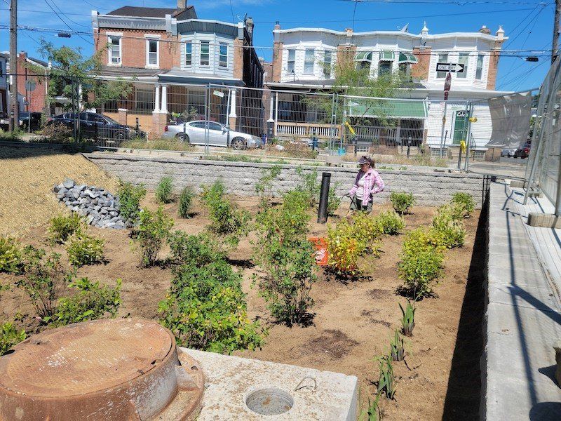 A woman is standing in a garden surrounded by plants.