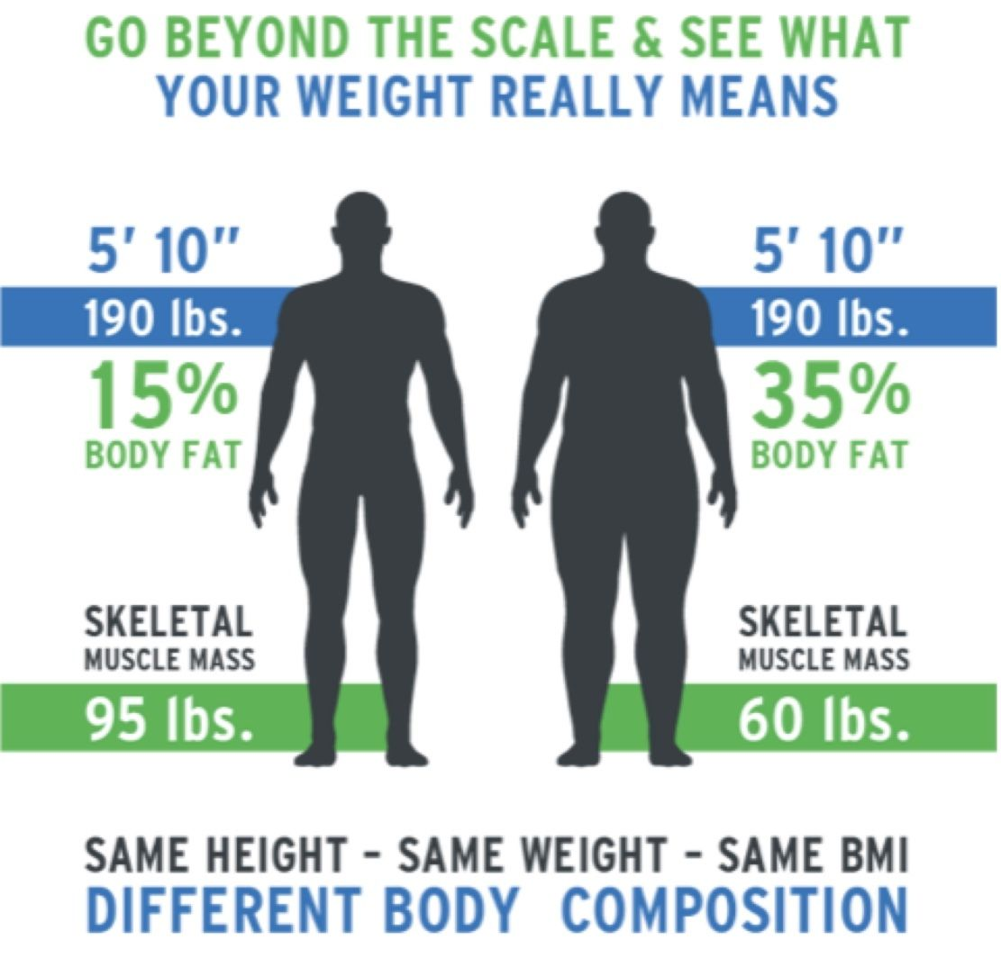 different body composition