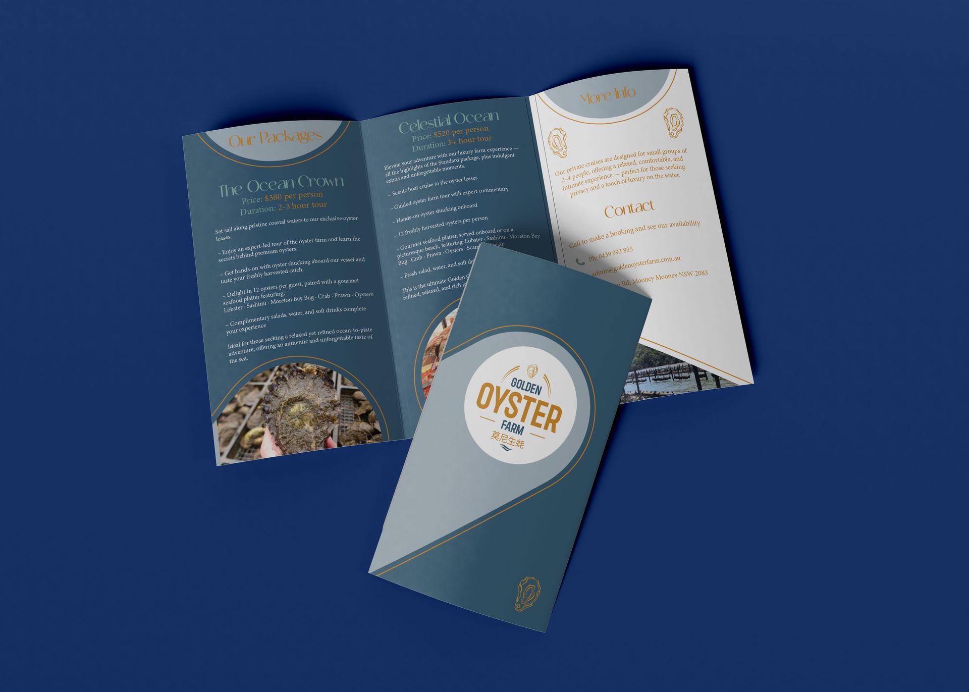 Professional brochure and flyer design for business marketing, promotion, services, events, and advertising.