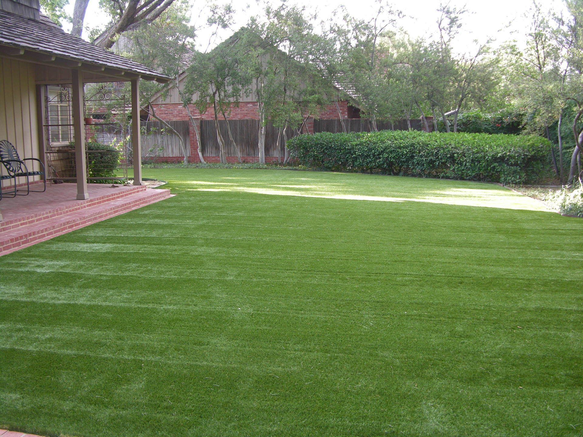 Artificial Grass 1