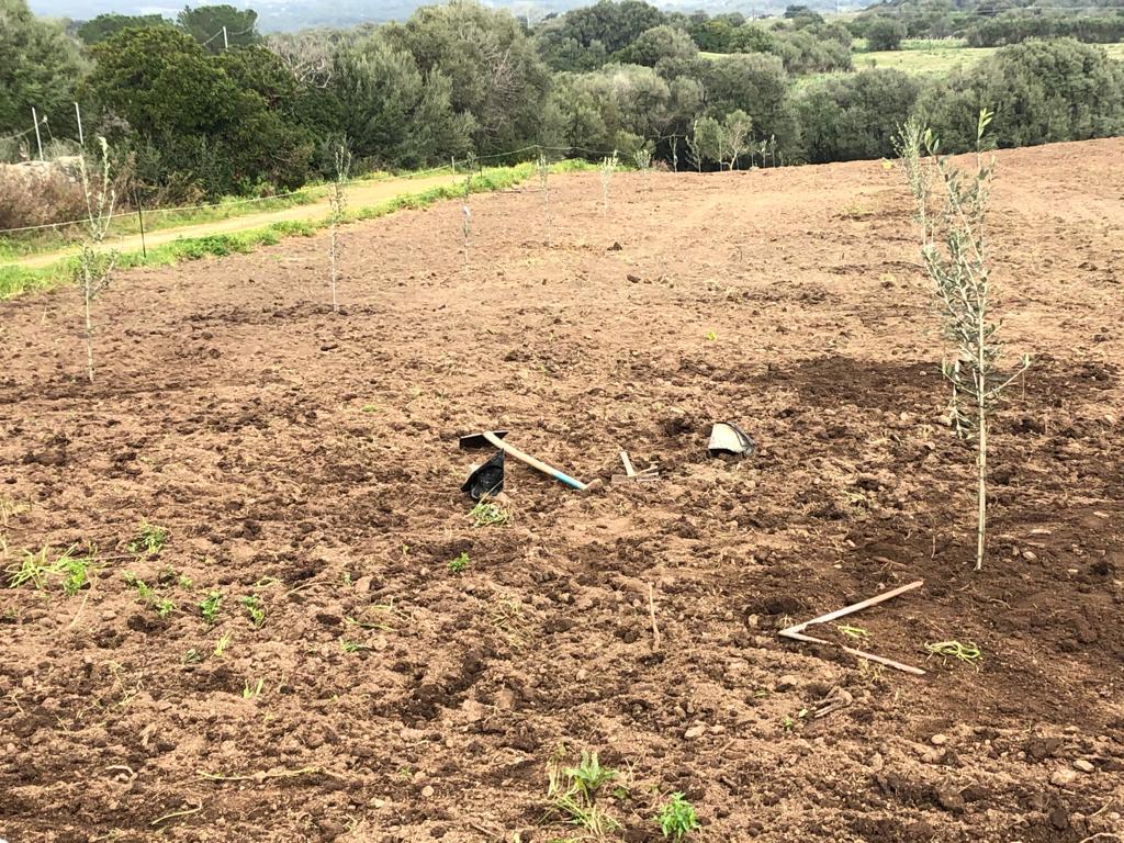 terreno prima di una nuova edificazione