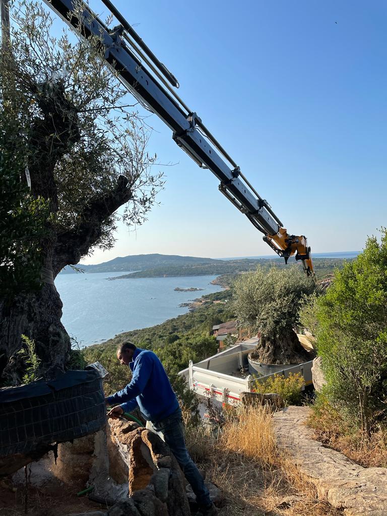 braccio allungabile per esigenze di movimentazione