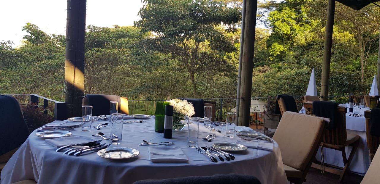 A table set for a dinner party with a view of trees in the background.