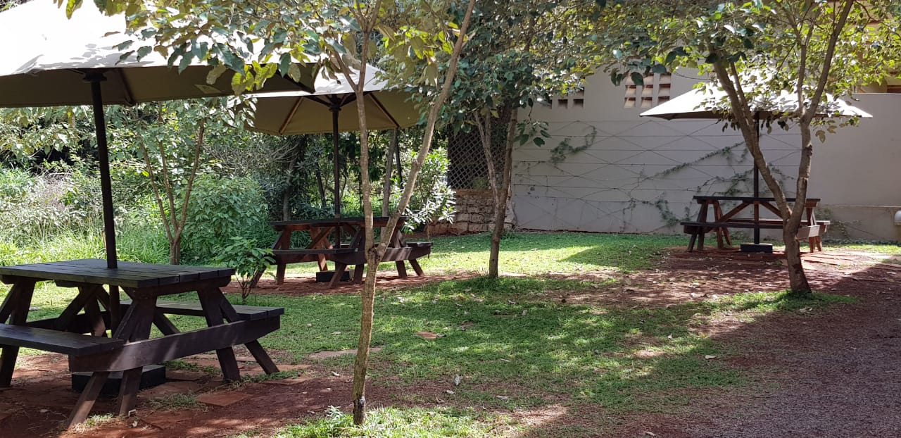 A picnic area with tables and umbrellas in the grass.