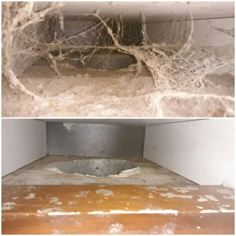 Top: Dusty vent with spiderwebs. Bottom: Clean vent.
