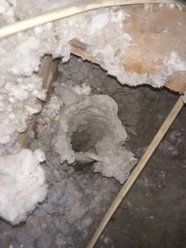 Hole in a wall surrounded by insulation and wires.
