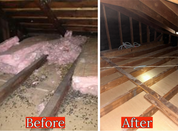 Interior of a roof attic under construction, showing wooden beams, insulation, and a small window. Interior of a roof attic under construction, showing wooden beams, insulation, and a small window.