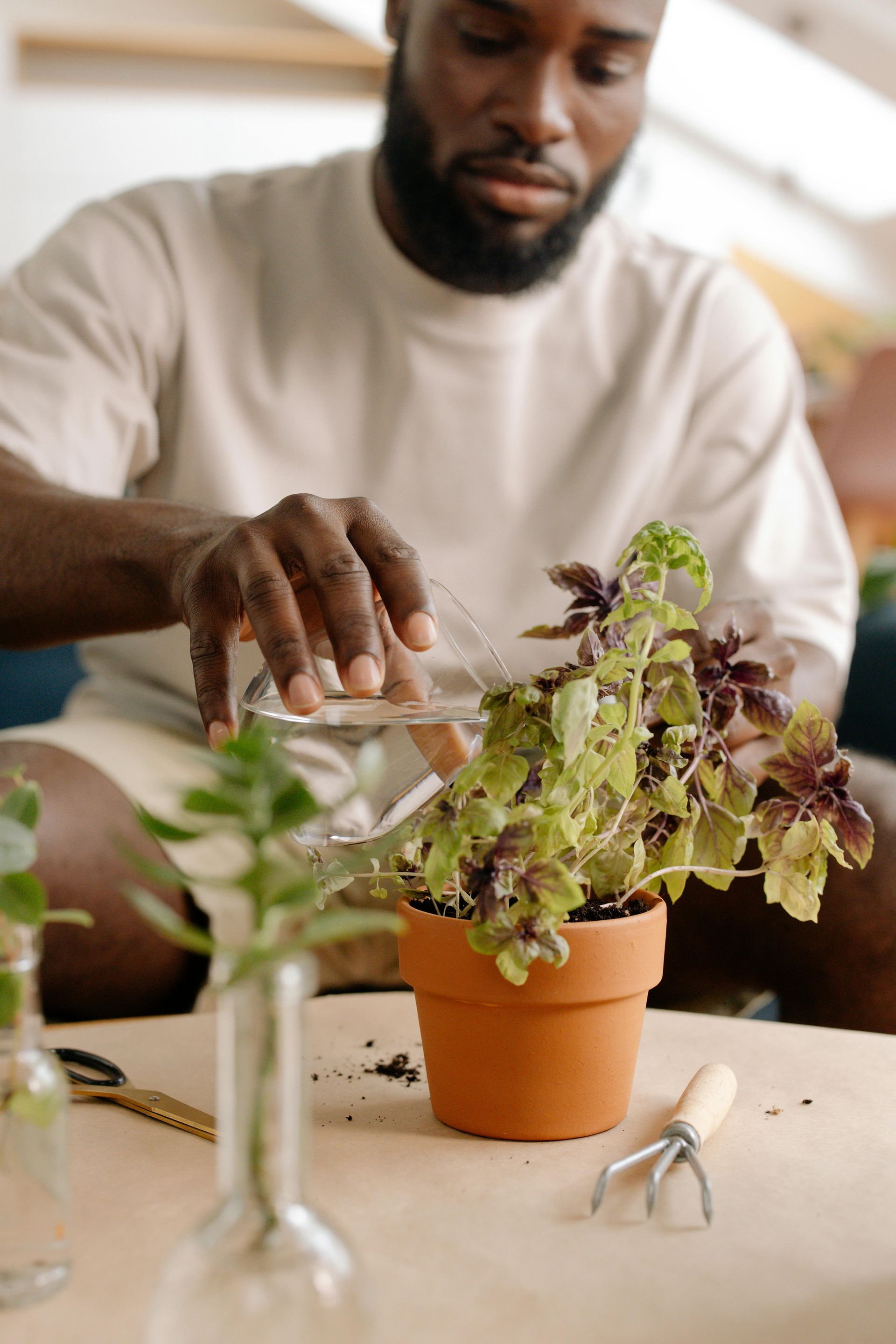 Man watering a plant in a terracotta pot; table with gardening tools and other plants.