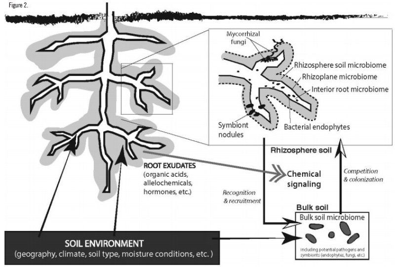 soil environment