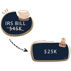 IRS Bill Icon