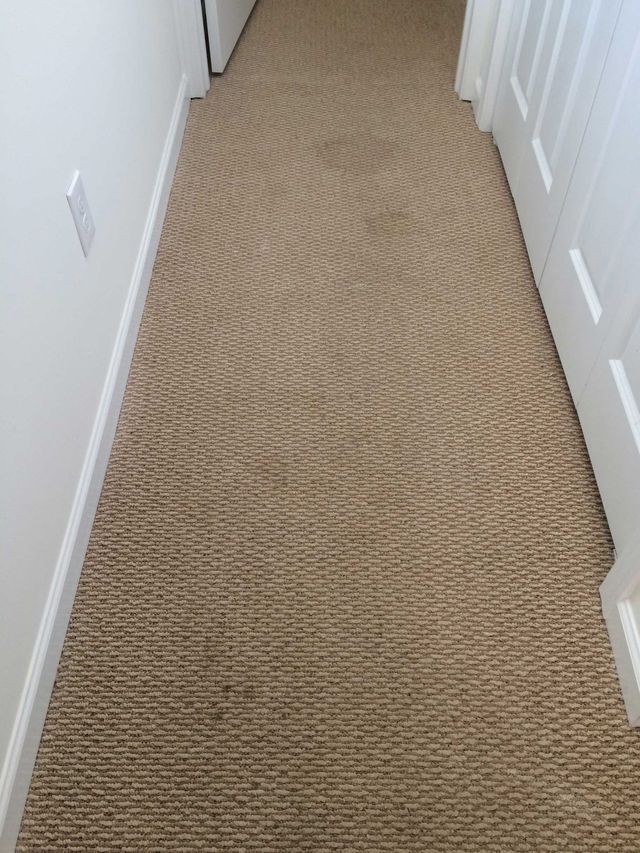 Dirty House Carpet — Valley, NY — Classic Carpet and Upholstery Cleaning